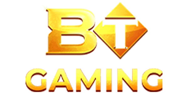 Visa partner logo